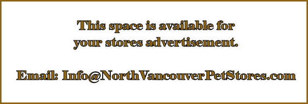 North Vancouver Pet Stores